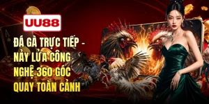 Đá Gà Trực Tiếp Đá Gà Trực Tiếp