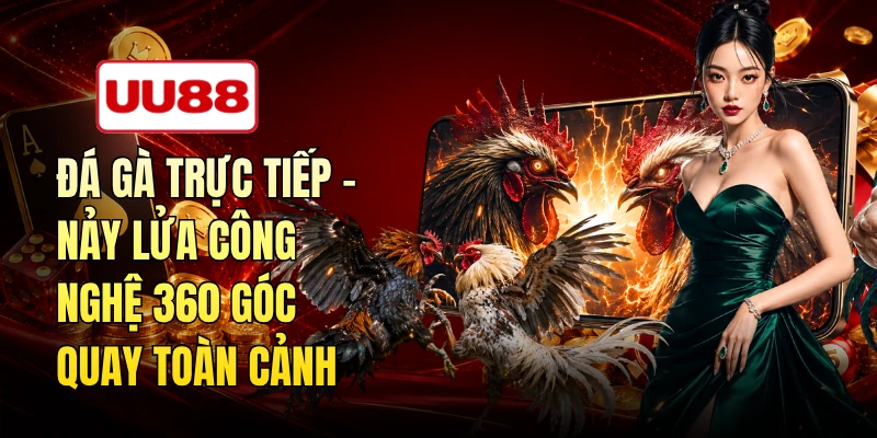 Đá Gà Trực Tiếp Đá Gà Trực Tiếp